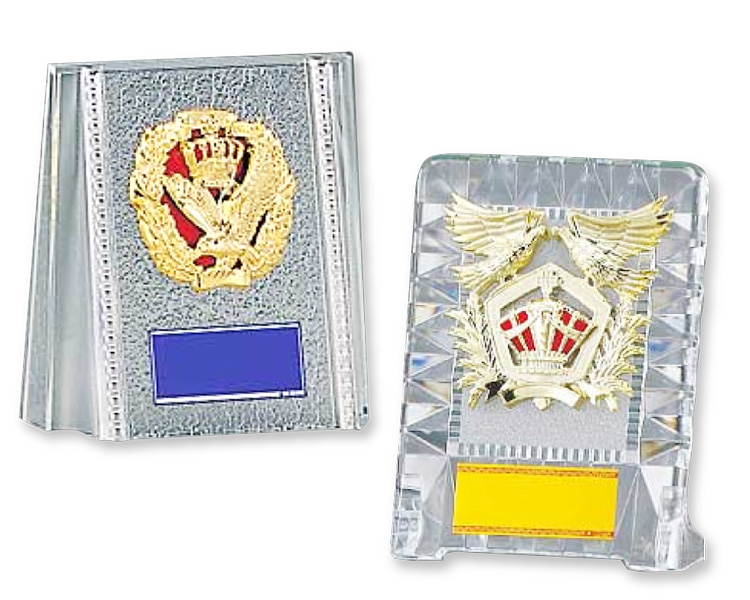 FSトロフィー(多種目競技・選択)