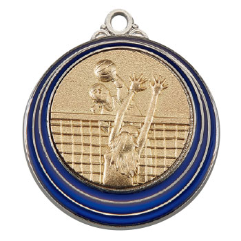 女子バレー（SM-8217）