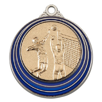 男子バレー（SM-8218）