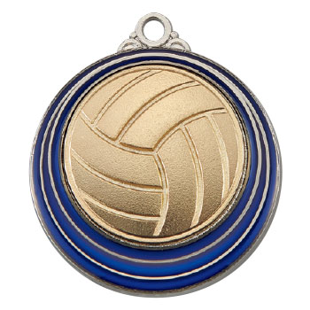 バレーボール（SM-8219）
