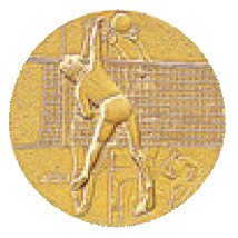 バレーボール（女子）