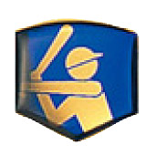 野球