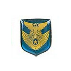 航空自衛隊【80】