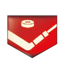 アイスホッケー