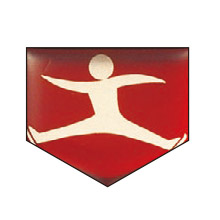 フィギュアスケート