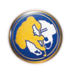 アイスホッケー