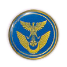 航空自衛隊