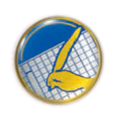 作文コンクール