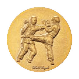 空手半袖胴着女