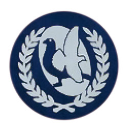 鳩