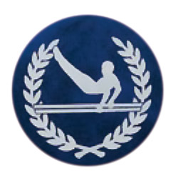 平行棒