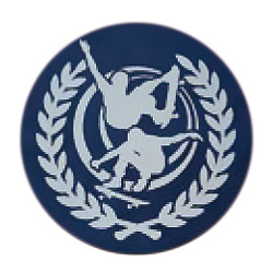 スケートボード