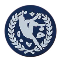 スポーツクライミング ボルダリング