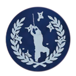 スポーツクライミング　スピードクライミング