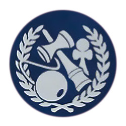 けん玉