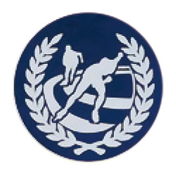 アイススケート