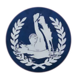 背泳ぎ