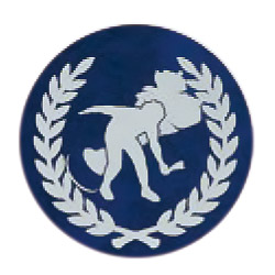 インディアカ