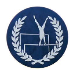 段違い平行棒