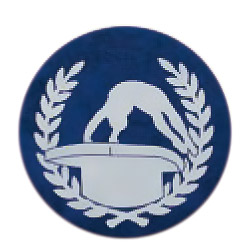 跳馬